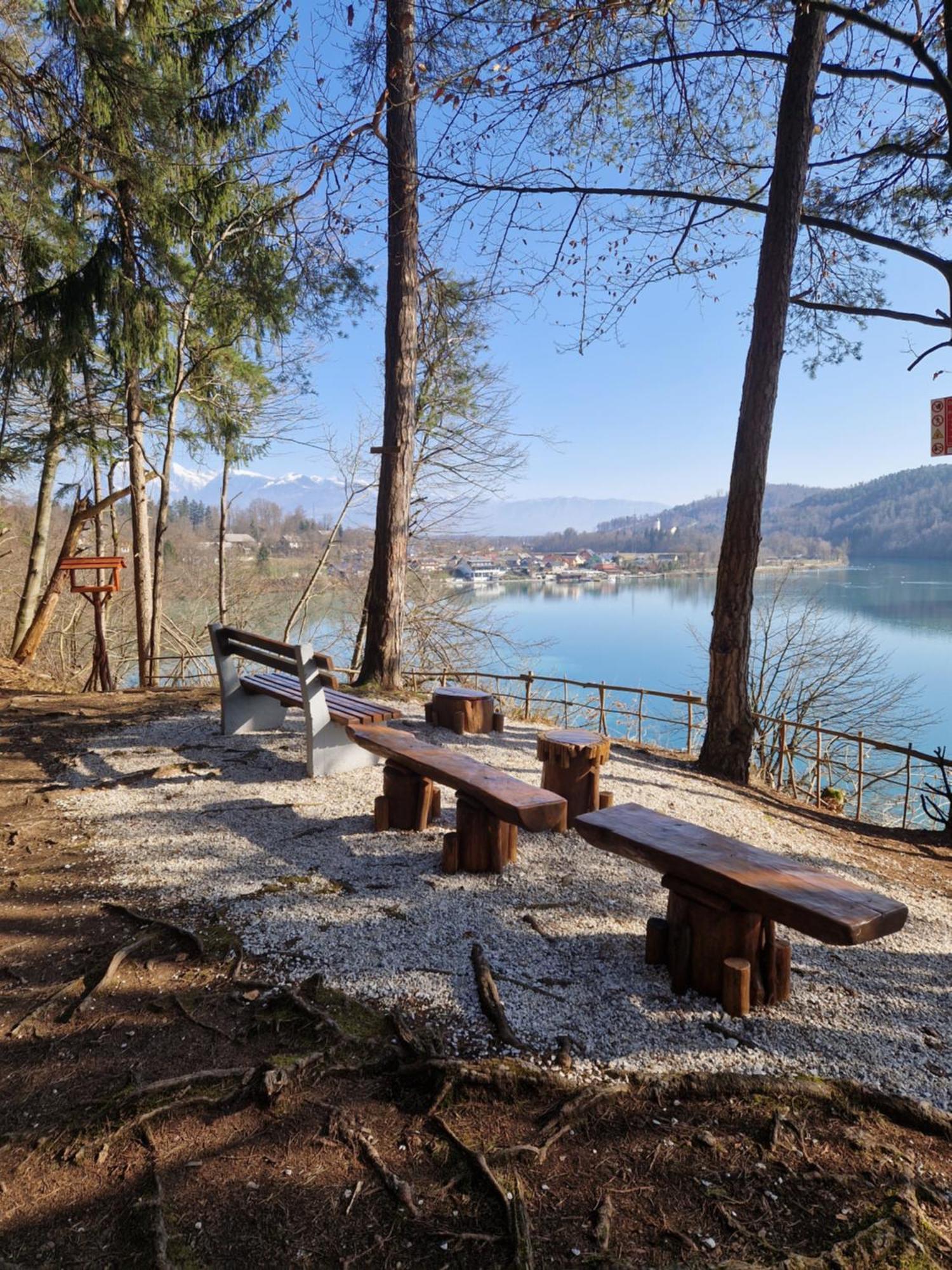 Beli Labod Apartment Medvode